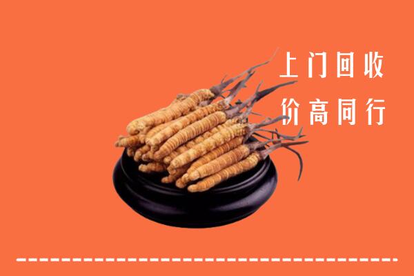 高价求购：新余市分宜县回收散虫草