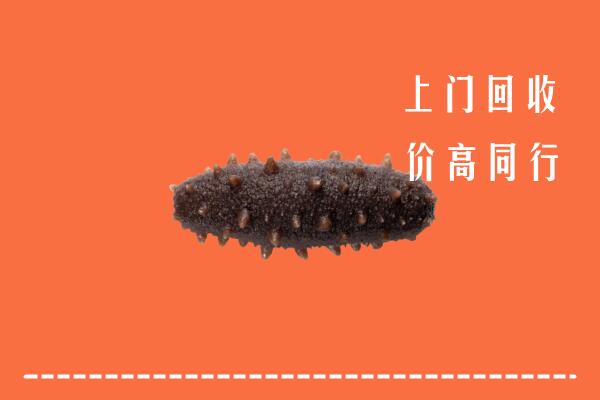 高价求购：新余市分宜县回收海参